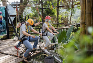 Pongyang Jungle Coaster Zipline